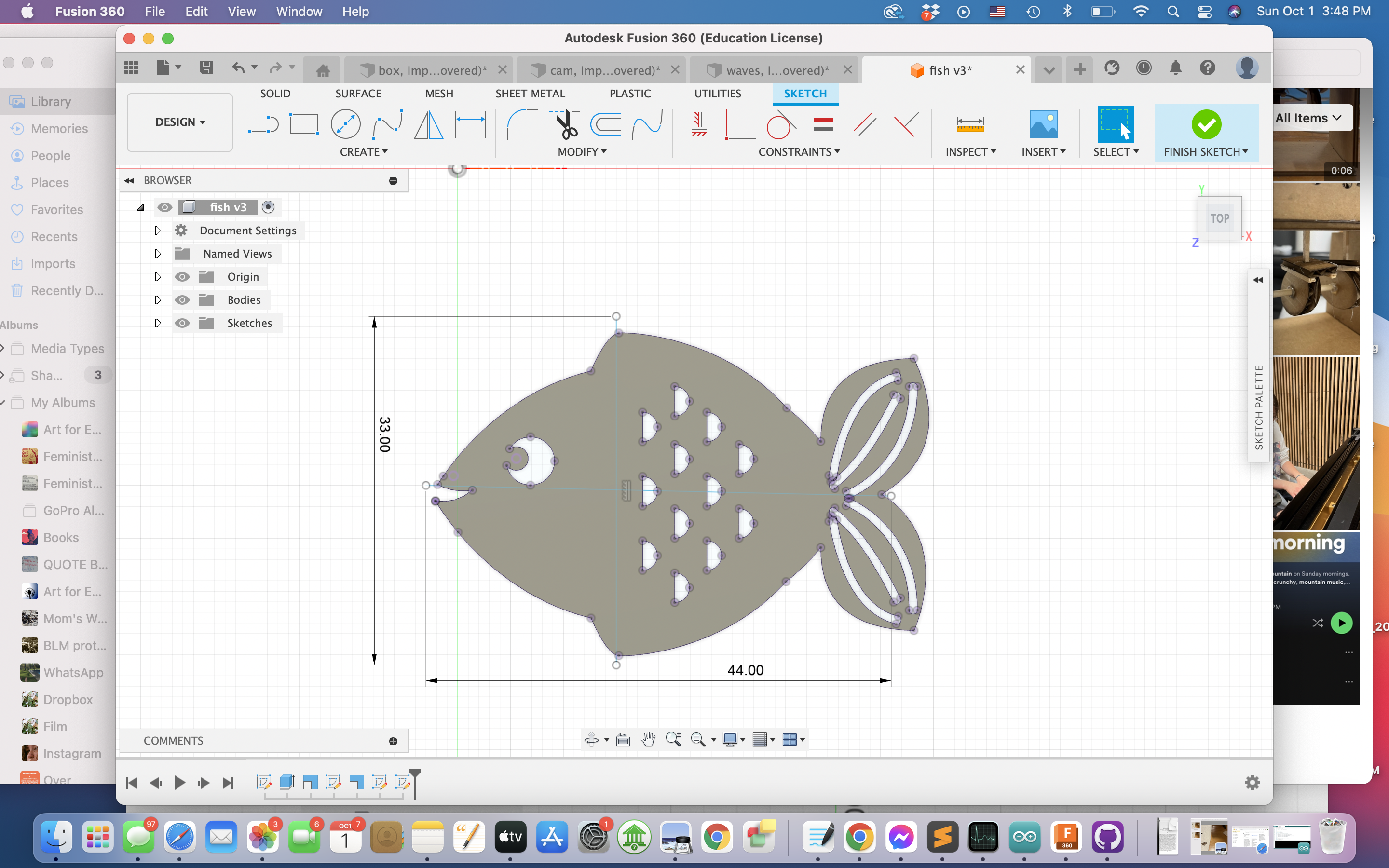fishss